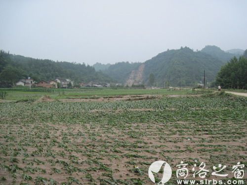 農(nóng)作物受災(zāi)920公頃，其中：絕收210公頃，水毀河堤72公里、耕地210公頃，灌渠24公里，自來水管線180公里。圖為趙