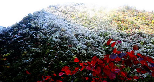 金絲峽的第一場雪