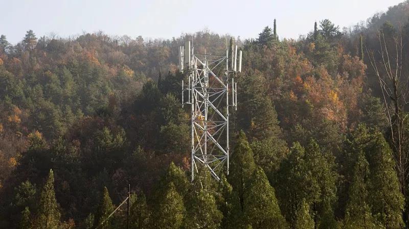 1密林深處,豎立起格外醒目的移動4G基站.jpg
