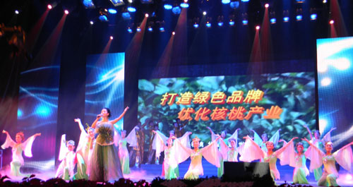 “相約中國核桃之都”文藝晚會(huì)