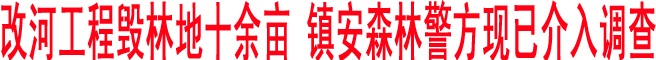 改河工程毀林地十余畝 鎮(zhèn)安森林警方現已介入調查