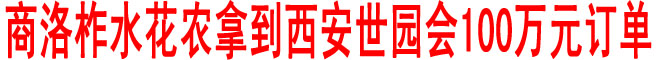 商洛柞水花農拿到西安世園會100萬元訂單