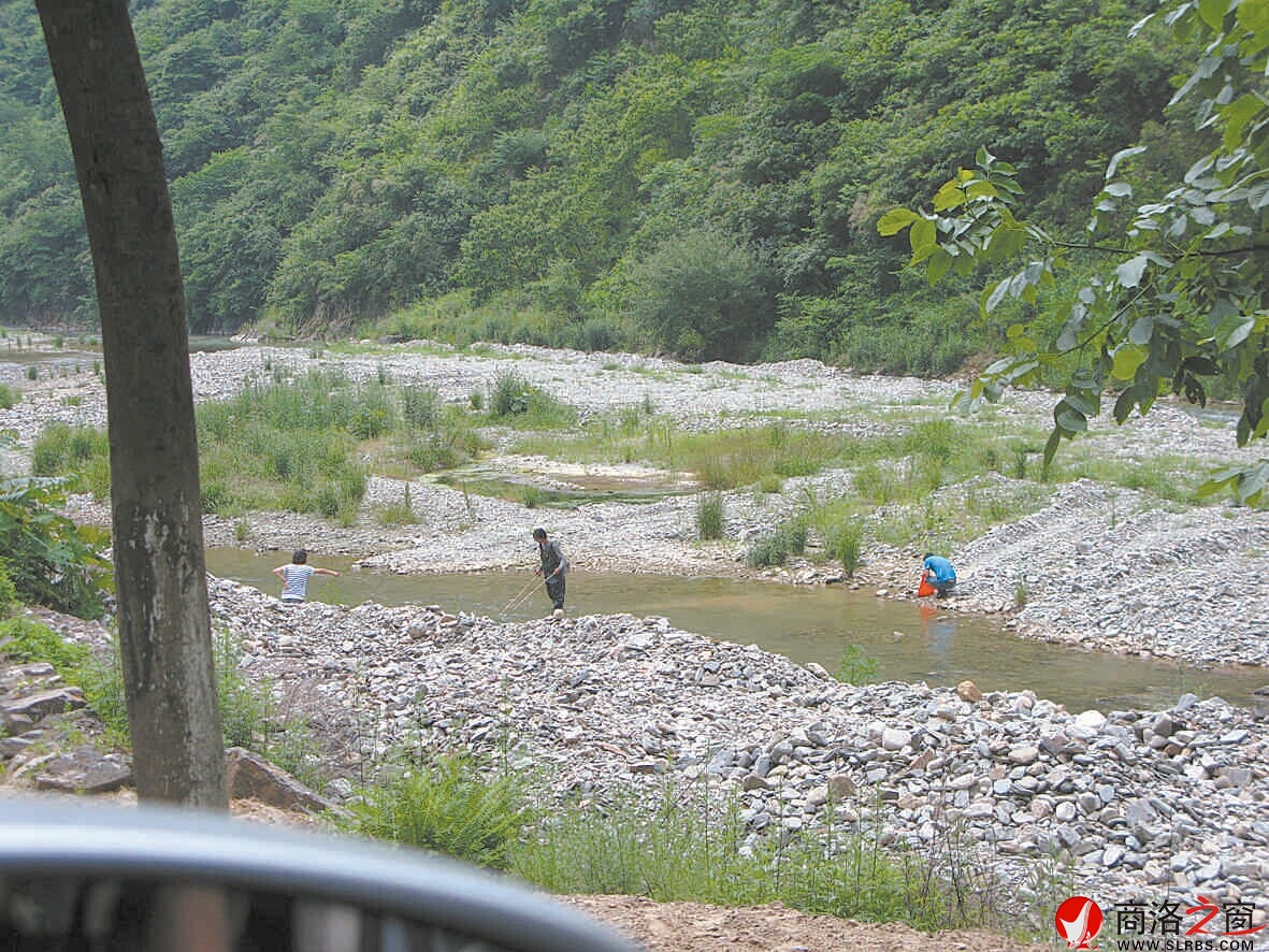 6月2日，柞水杏坪鎮金口村不到十里的河道電魚的就有四伙人
