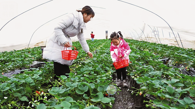 趙昌忠的“甜蜜事業”