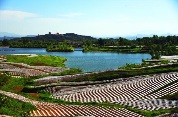 洛南：眾志成城繪藍圖 奮發(fā)有為勇當(dāng)先
