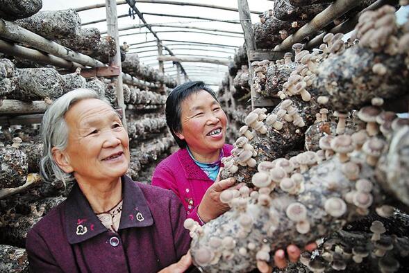 商州構建大扶貧格局 全力打好精準脫貧攻堅戰(zhàn)
