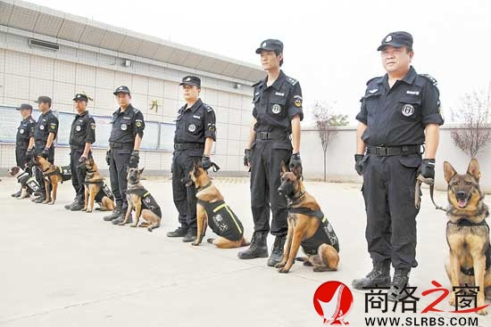 訓犬員和他們的“戰友”隨時準備出警