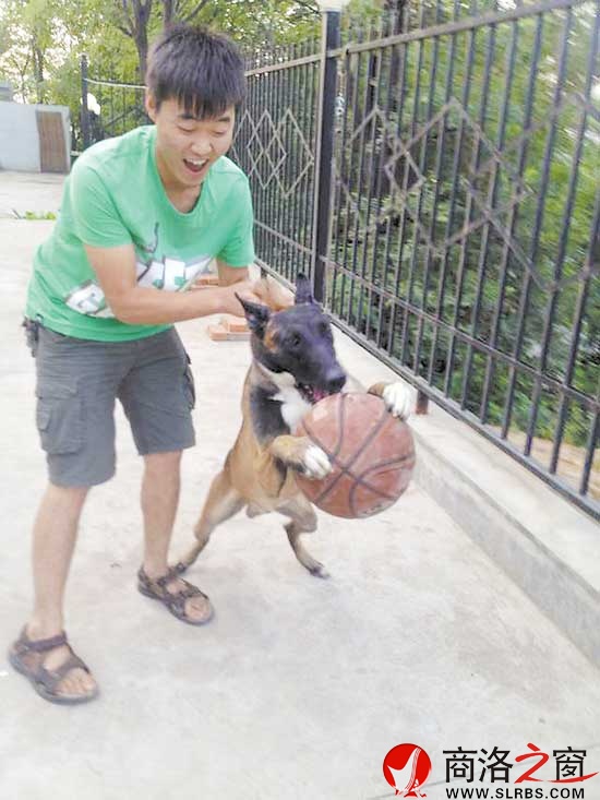 下班之余,柯厲就成了劉磊的玩伴