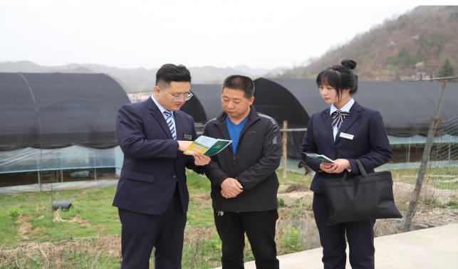 郵儲銀行商洛分行：“氣候價值貸”為鄉村全面振興注入“金融活水”