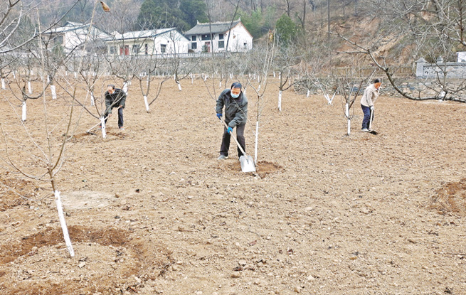 興富民產(chǎn)業(yè) 建美麗鄉(xiāng)村