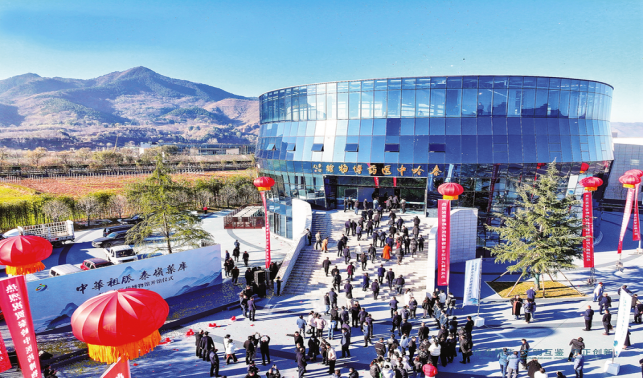 項目“提速”譜寫高質量發展新篇