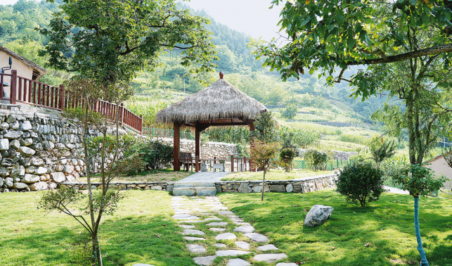 竹林關鎮 描繪鄉村振興多彩畫卷