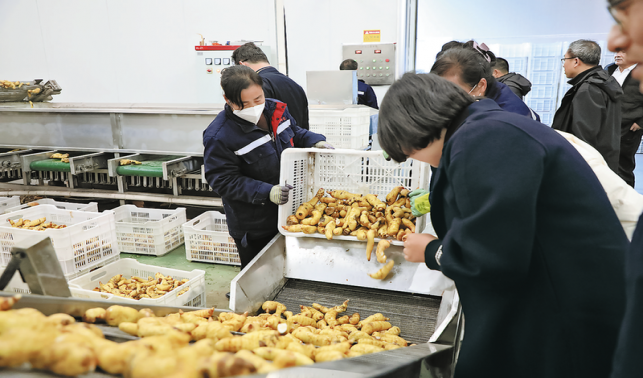 打造經濟發展強引擎