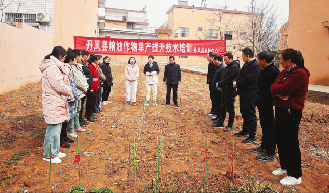 棣花鎮(zhèn)：春耕農(nóng)忙正當(dāng)時