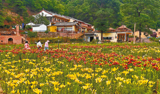 民宿火起來 鄉村“活”起來