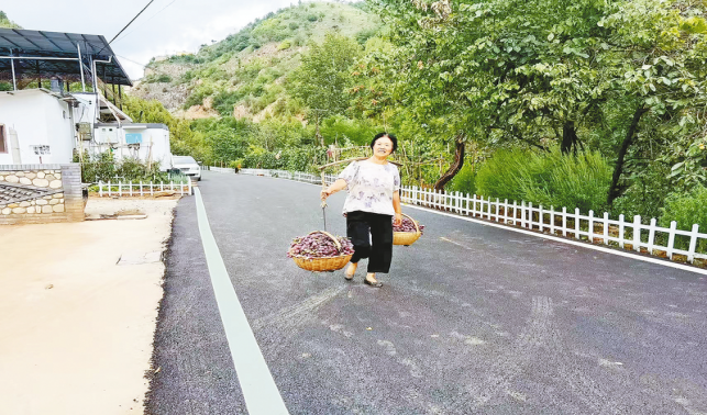 一條柏油路，串起果農(nóng)新生活