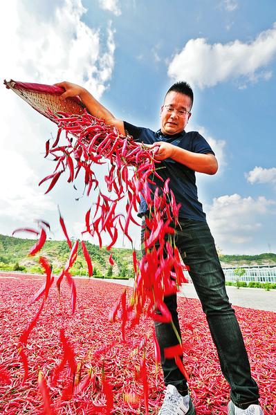 扶貧助力“辣上天”