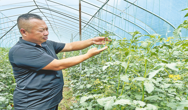 科學(xué)育苗破解增產(chǎn)密碼