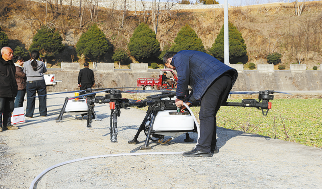 “飛防”助春管 油菜穩豐收