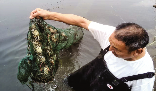 特色養殖為產業振興增活力