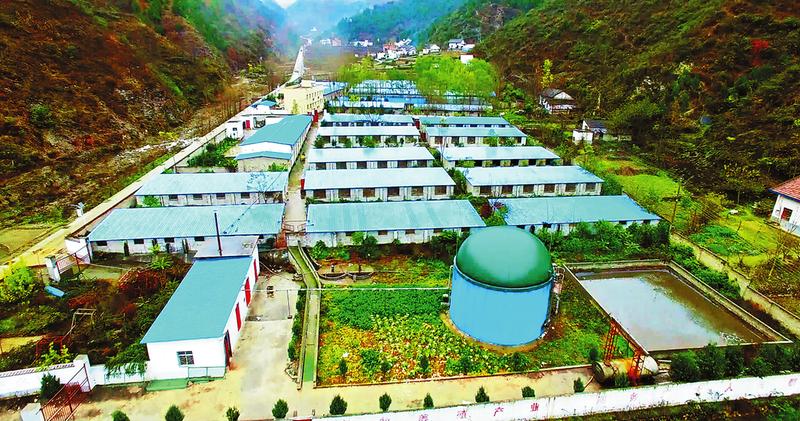 產(chǎn)業(yè)開花 扶貧結果