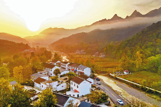 十年蝶變展新顏 鎮強村興如畫卷