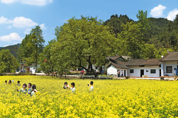 在山水之間演繹生態佳話