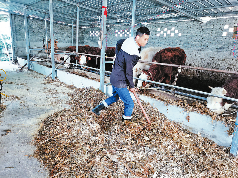 創業新農人 振興帶頭人