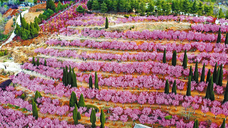 砥礪深耕謀發展 篤行致遠繪佳卷