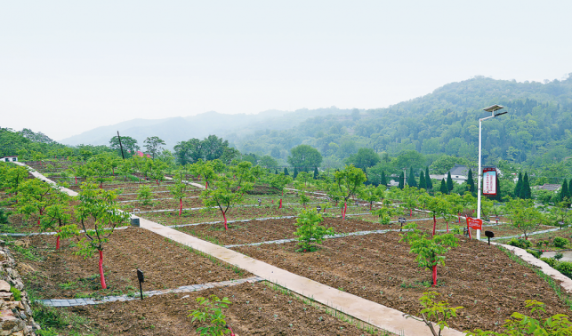 上河村 產業發展有了“核”動力
