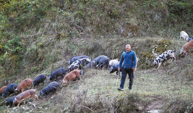 生態放養 逐夢家園