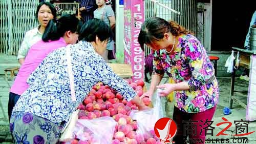 隨處流動的小商販也不乏購買者。