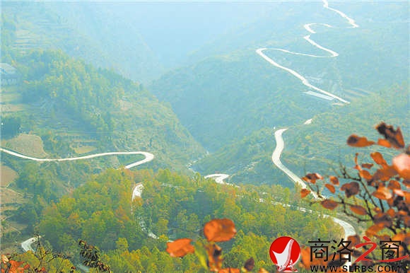 通往姬家河的鄉村公路蜿蜒在綠海中,行走其中,就是一種享受。