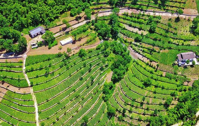 中國康養旅游強縣 中國康養宜居?？h