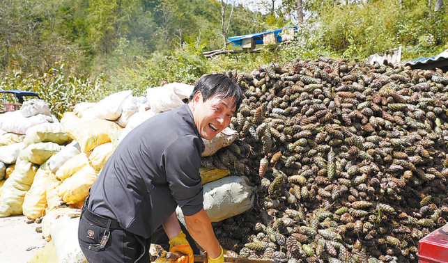 小松子成富民產業