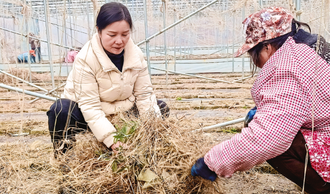 一心為民勇?lián)?>
        <div   id=