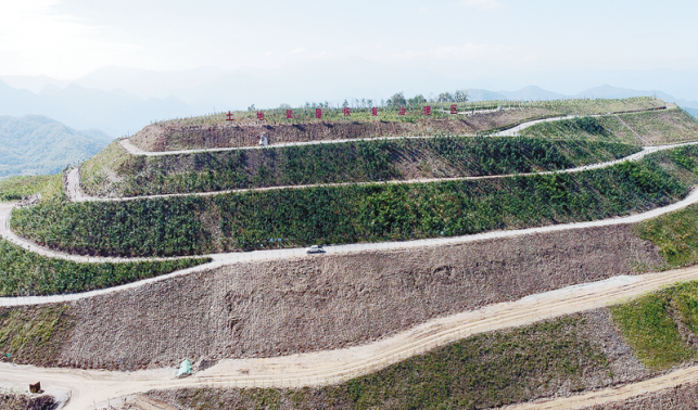 守護綠水青山 加快綠色轉(zhuǎn)型