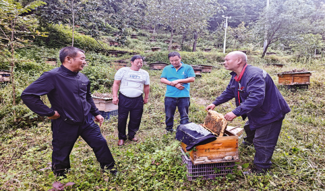 家園美了，日子甜了